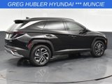 New 2025 Hyundai Tucson Limited image 5
