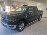 New 2025 Ford F150 XLT w/ Equipment Group 303A High image 3