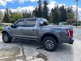 Used 2019 Ford F150 Raptor image 5