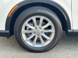 Certified 2024 Honda CR-V EX image 4