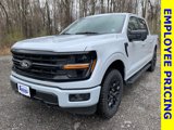 New 2025 Ford F150 XLT w/ Equipment Group 302A MID image 4