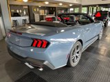 Used 2024 Ford Mustang Premium image 5