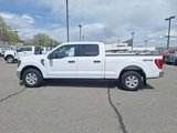 Certified 2023 Ford F150 XLT w/ Equipment Group 301A Mid image 2