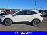 New 2024 Ford Escape SE w/ PHEV Premium Package image 6