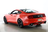 Used 2015 Ford Mustang Premium w/ Ecoboost Performance Package image 5