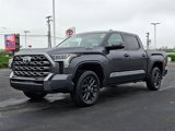 New 2025 Toyota Tundra Platinum image 3
