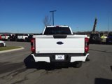 New 2025 Ford F250 XL image 4