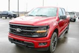 New 2025 Ford F150 XLT w/ Equipment Group 303A High image 2