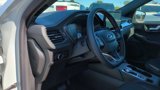New 2025 Ford Escape ST-Line w/ Tech Pack #1 image 2