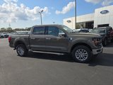 New 2025 Ford F150 XLT w/ Equipment Group 303A High image 2