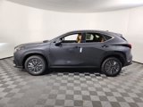 New 2026 Lexus NX 350 AWD w/ Luxury Package image 5