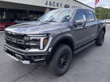 New 2025 Ford F150 Raptor image 2