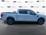 Certified 2023 Ford F150 XLT w/ Equipment Group 302A High image 2