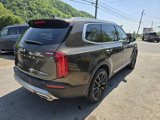Used 2022 Kia Telluride SX w/ SX Prestige Package image 4