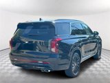 New 2025 Hyundai Palisade Calligraphy image 5