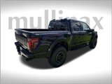 New 2025 Ford F150 Raptor image 3