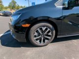 New 2026 Honda Odyssey EX-L image 2