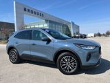 Used 2024 Ford Escape SE image 1