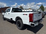 New 2026 Ford F250 XL image 4