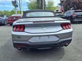 Used 2024 Ford Mustang Premium image 6