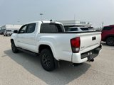 Used 2023 Toyota Tacoma SR5 w/ Technology Package image 3