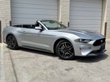 Used 2023 Ford Mustang Premium w/ Equipment Group 201A image 4
