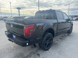 New 2025 Ford F150 Platinum w/ Equipment Group 702A High image 3