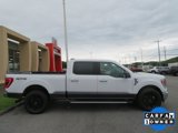 Used 2021 Ford F150 XLT w/ Equipment Group 302A High image 2