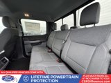 New 2025 Ford F150 XLT w/ Equipment Group 302A MID image 5