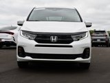 Certified 2025 Honda Odyssey Elite image 2