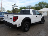 Used 2014 Ford F150 Raptor w/ Equipment Group 801A Luxury image 6