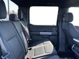 New 2025 Ford F150 XLT image 5