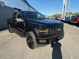New 2025 Ford F150 STX w/ STX Black Appearance Package image 2