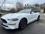 Used 2022 Ford Mustang Premium image 3