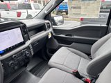 New 2025 Ford F150 XL image 4