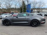 Used 2019 Ford Mustang Premium w/ Ecoboost Performance Package image 4