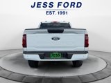 New 2025 Ford F150 STX w/ Equipment Group 200A image 4