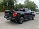Used 2023 Ford F150 XLT w/ Equipment Group 302A High image 4