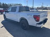 New 2025 Ford F150 XLT w/ Equipment Group 302A MID image 3