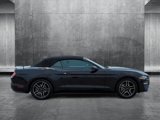 Used 2023 Ford Mustang Premium image 4