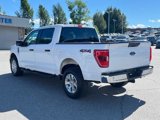 Certified 2023 Ford F150 XLT w/ Equipment Group 301A Mid image 4