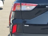 Used 2022 Ford Escape SE w/ SE Sport Appearance Package image 6