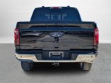 New 2025 Ford F150 XLT w/ Equipment Group 303A High image 4