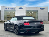 Certified 2023 Ford Mustang Premium image 4