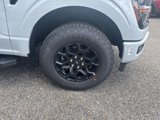 New 2025 Ford F150 XLT w/ Equipment Group 302A MID image 3