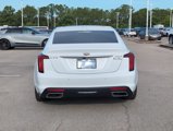 Certified 2023 Cadillac CT5 Luxury w/ Sun And Sound Package image 4
