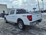 New 2025 Ford F150 XLT w/ Equipment Group 302A MID image 3