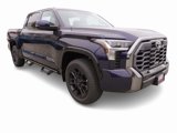 New 2025 Toyota Tundra Platinum image 3