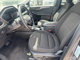 Used 2024 Ford Escape Active w/ Tech Pack #1 image 2