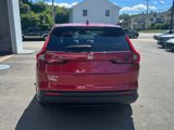 Used 2024 Honda CR-V EX-L image 6